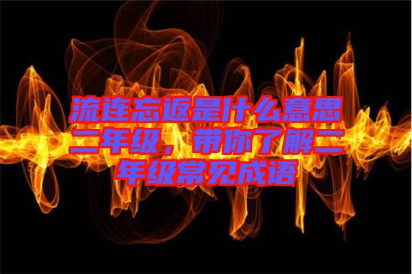 流連忘返是什么意思二年級(jí)，帶你了解二年級(jí)常見(jiàn)成語(yǔ)