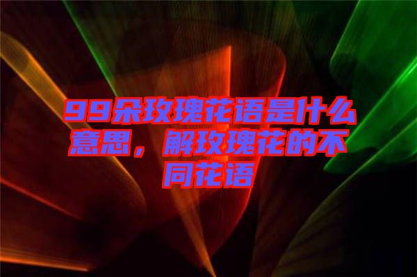 99朵玫瑰花語是什么意思，解玫瑰花的不同花語