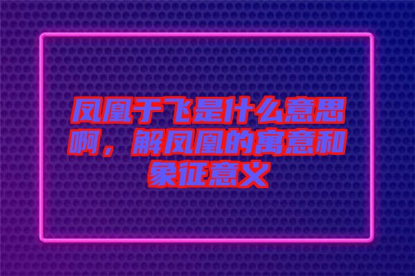 鳳凰于飛是什么意思啊，解鳳凰的寓意和象征意義