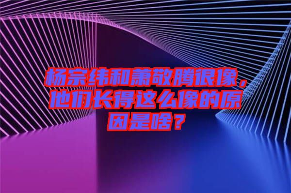 楊宗緯和蕭敬騰很像，他們長(zhǎng)得這么像的原因是啥？