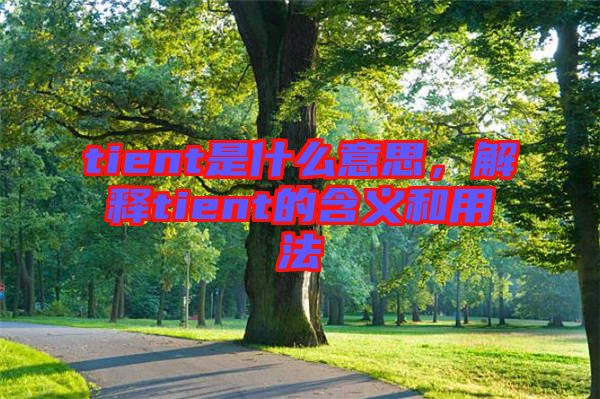 tient是什么意思，解釋tient的含義和用法