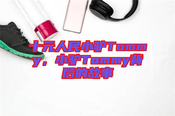 十元人民小驢Tommy，小驢Tommy背后的故事