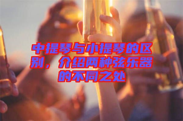 中提琴與小提琴的區(qū)別，介紹兩種弦樂(lè)器的不同之處