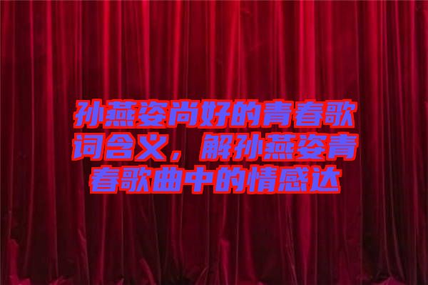 孫燕姿尚好的青春歌詞含義，解孫燕姿青春歌曲中的情感達(dá)