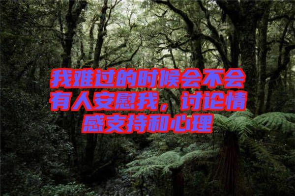 我難過的時(shí)候會(huì)不會(huì)有人安慰我，討論情感支持和心理