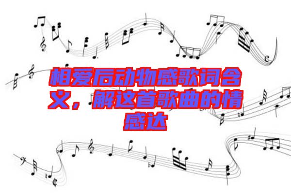 相愛后動(dòng)物感歌詞含義，解這首歌曲的情感達(dá)