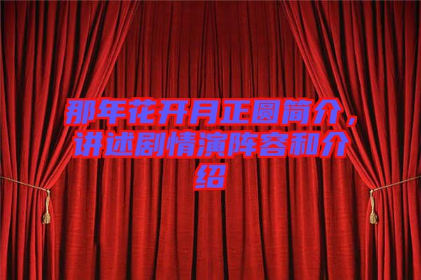 那年花開月正圓簡介，講述劇情演陣容和介紹