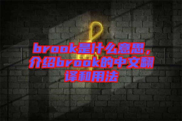 brook是什么意思，介紹brook的中文翻譯和用法