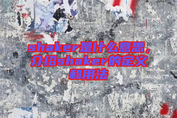 shaker是什么意思，介紹shaker的定義和用法