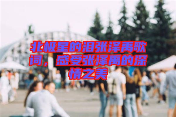 北極星的淚張澤禹歌詞，感受張澤禹的深情之美