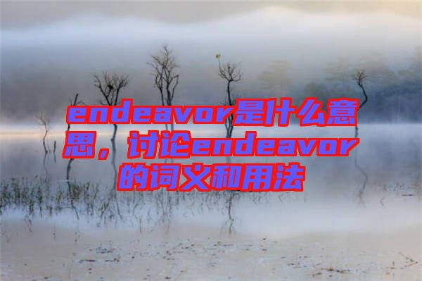 endeavor是什么意思，討論endeavor的詞義和用法