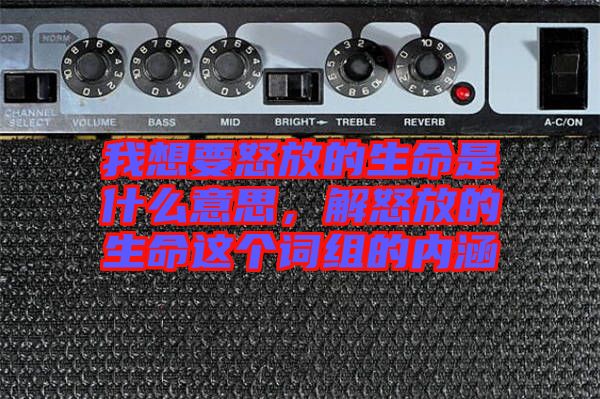 我想要怒放的生命是什么意思，解怒放的生命這個詞組的內涵