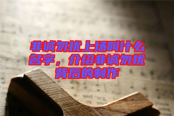 非誠勿擾上場叫什么名字，介紹非誠勿擾背后的制作