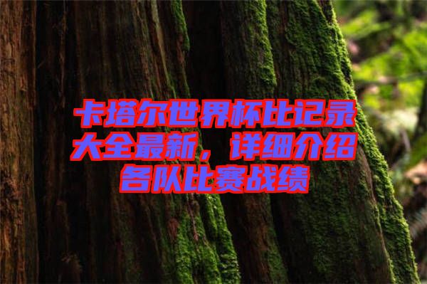 卡塔爾世界杯比記錄大全最新，詳細(xì)介紹各隊比賽戰(zhàn)績