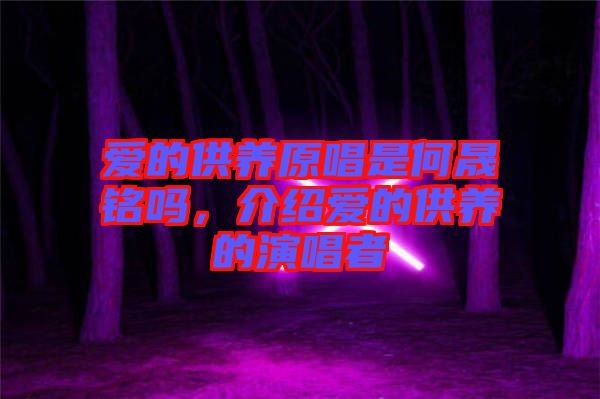 愛的供養(yǎng)原唱是何晟銘嗎，介紹愛的供養(yǎng)的演唱者