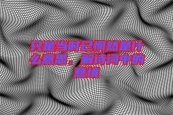 只是當時已惘然是什么意思，解詩詞中的意境