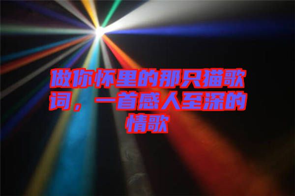 做你懷里的那只貓歌詞，一首感人至深的情歌