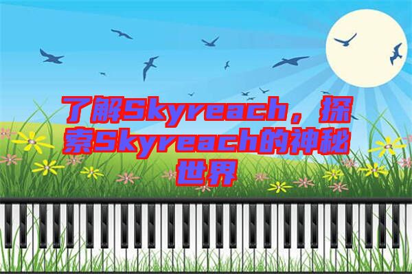 了解Skyreach，探索Skyreach的神秘世界