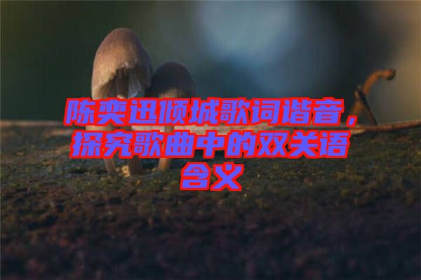 陳奕迅傾城歌詞諧音，探究歌曲中的雙關(guān)語含義