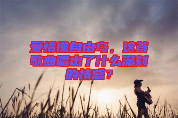 愛(ài)情像自由鳥(niǎo)，這首歌曲唱出了什么深刻的情感？