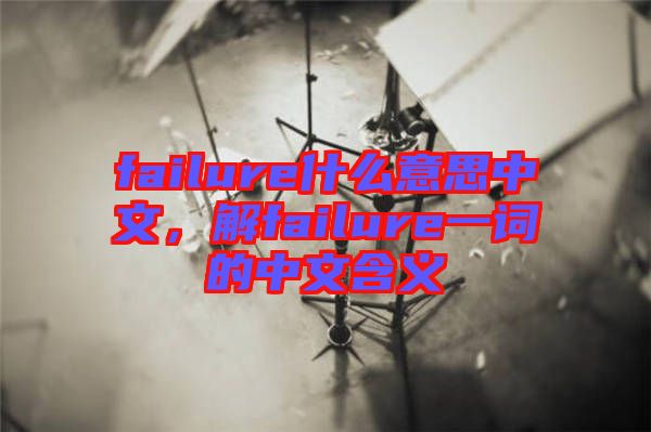 failure什么意思中文，解failure一詞的中文含義