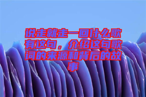 說走就走一回什么歌有這句，介紹這句歌詞的來源和背后的故事