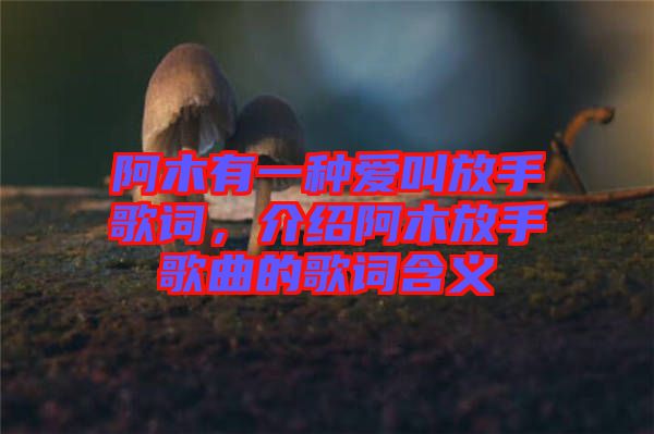 阿木有一種愛叫放手歌詞，介紹阿木放手歌曲的歌詞含義