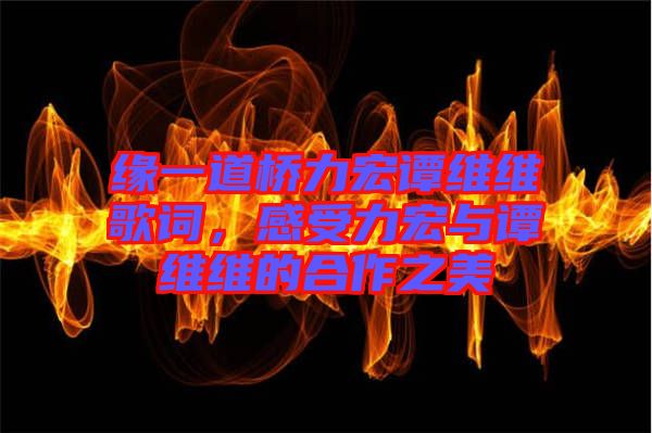 緣一道橋力宏譚維維歌詞，感受力宏與譚維維的合作之美