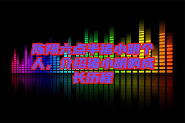 陳翔六點半豬小明個人，介紹豬小明的成長歷程