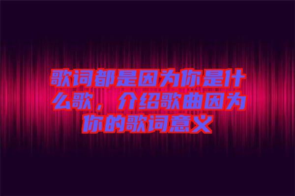 歌詞都是因為你是什么歌，介紹歌曲因為你的歌詞意義