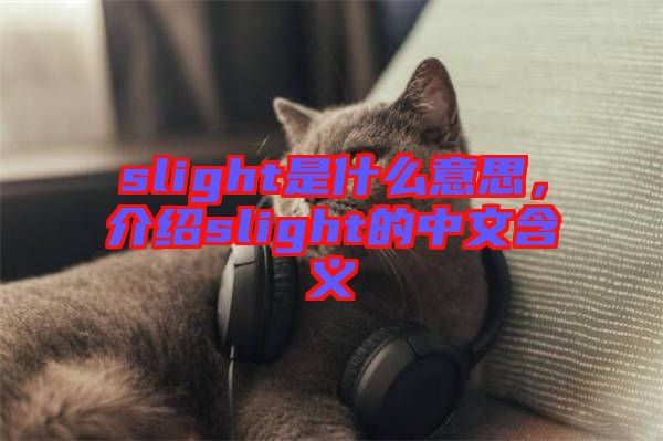 slight是什么意思，介紹slight的中文含義