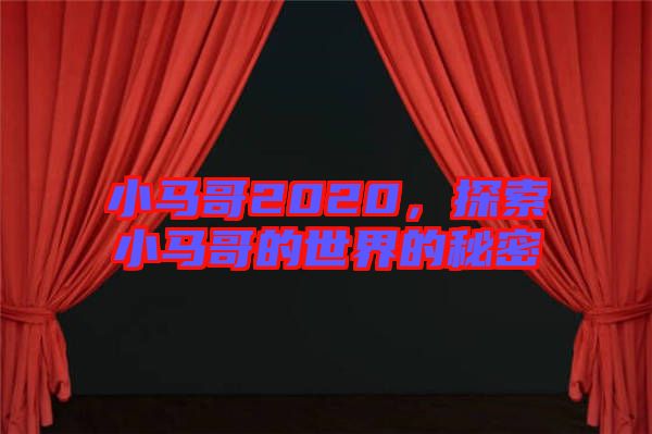 小馬哥2020，探索小馬哥的世界的秘密