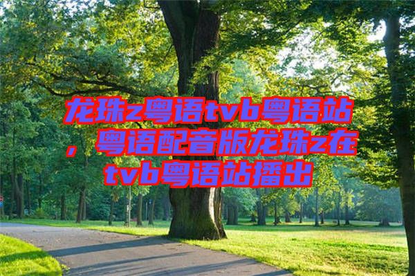 龍珠z粵語(yǔ)tvb粵語(yǔ)站，粵語(yǔ)配音版龍珠z在tvb粵語(yǔ)站播出