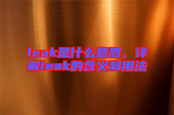 leak是什么意思，詳解leak的含義和用法