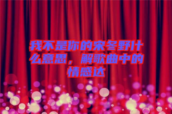 我不是你的宋冬野什么意思，解歌曲中的情感達