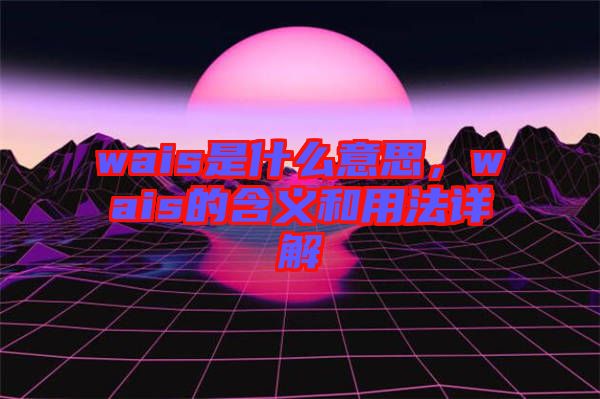 wais是什么意思，wais的含義和用法詳解