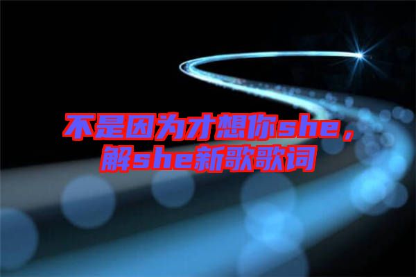 不是因?yàn)椴畔肽鉺he，解she新歌歌詞