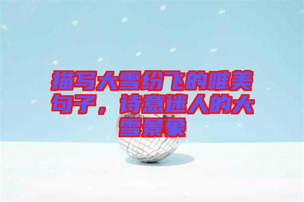 描寫大雪紛飛的唯美句子，詩意迷人的大雪景象