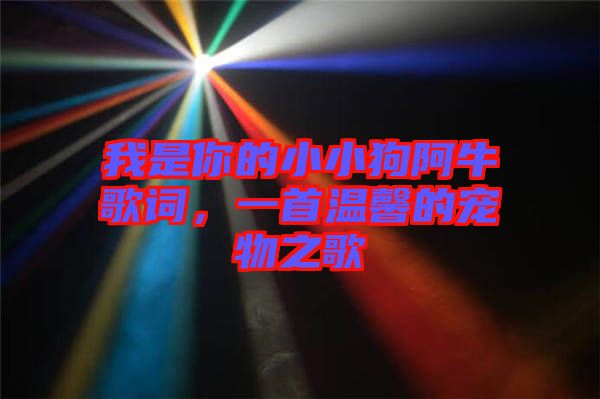 我是你的小小狗阿牛歌詞，一首溫馨的寵物之歌