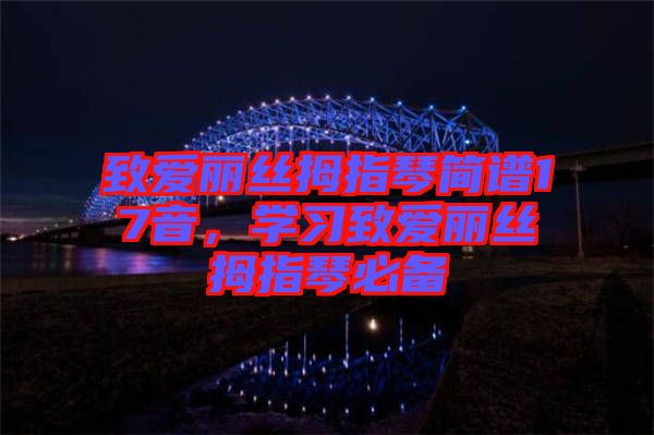 致愛麗絲拇指琴簡(jiǎn)譜17音，學(xué)習(xí)致愛麗絲拇指琴必備