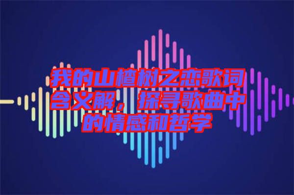 我的山楂樹(shù)之戀歌詞含義解，探尋歌曲中的情感和哲學(xué)