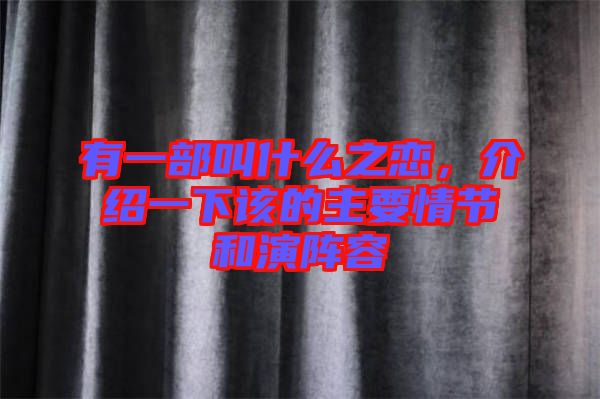 有一部叫什么之戀，介紹一下該的主要情節(jié)和演陣容