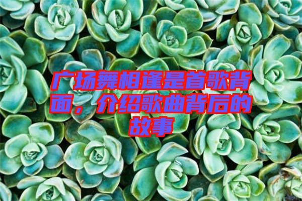 廣場(chǎng)舞相逢是首歌背面，介紹歌曲背后的故事