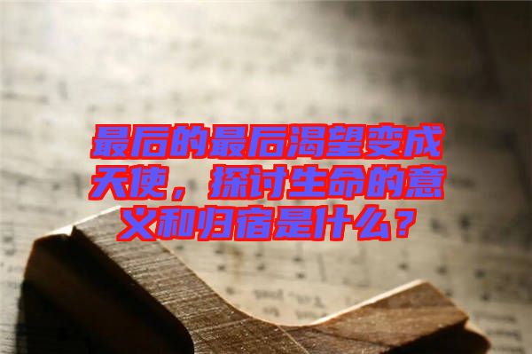 最后的最后渴望變成天使，探討生命的意義和歸宿是什么？