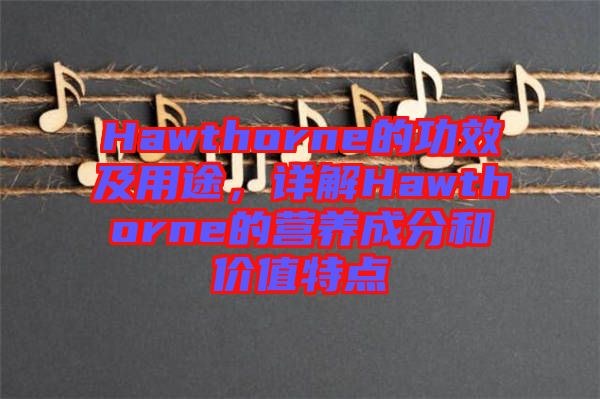 Hawthorne的功效及用途，詳解Hawthorne的營(yíng)養(yǎng)成分和價(jià)值特點(diǎn)