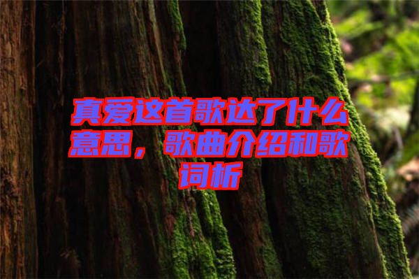 真愛這首歌達了什么意思，歌曲介紹和歌詞析