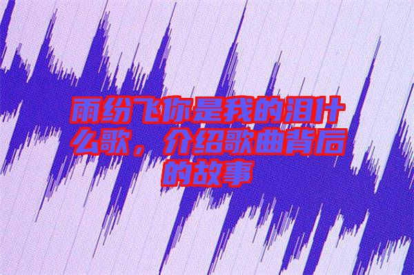 雨紛飛你是我的淚什么歌，介紹歌曲背后的故事