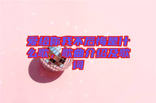 愛給你我不后悔是什么歌，歌曲介紹及歌詞