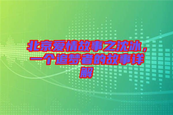 北京愛情故事之沈冰，一個(gè)追夢者的故事詳解