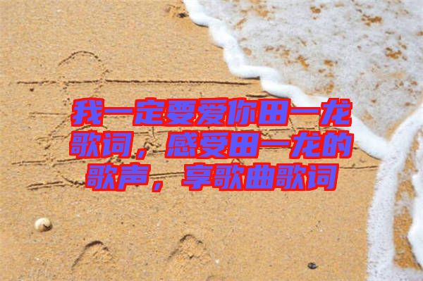 我一定要愛你田一龍歌詞，感受田一龍的歌聲，享歌曲歌詞